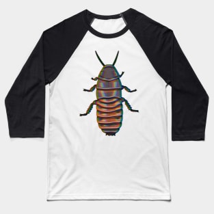 Chromatic madagascar hissing cockroach (Gromphadorhina portentosa) Baseball T-Shirt